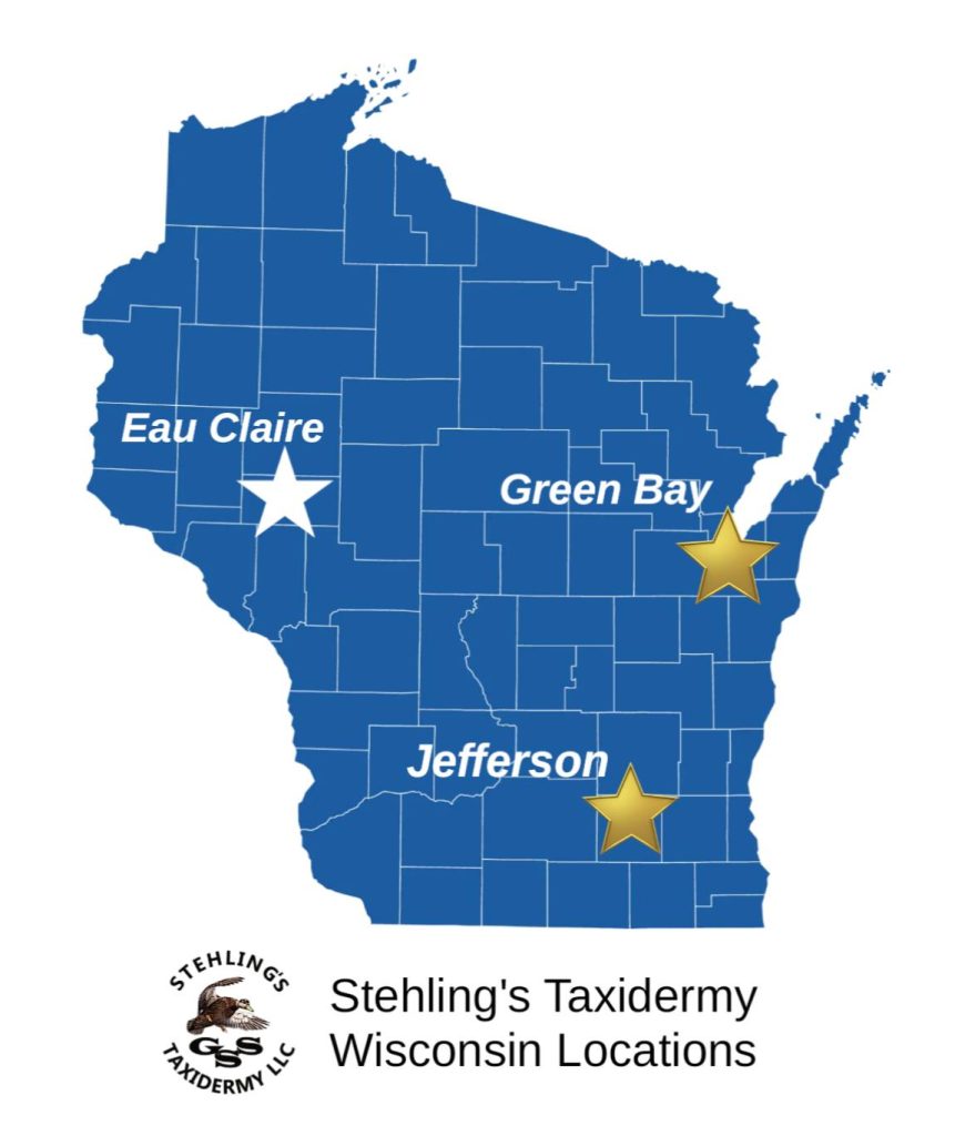 Stehlings Taxidermy Locations